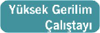 Y�KSEK GER�L�M �ALI�TAYI