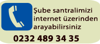 SANTRAL WEB