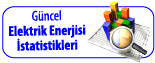 ELEKTRİK ENERJİSİ İSTATİSTİKLERİ