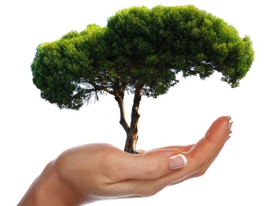 ODTÜ`DE AĞAÇ DİKME ŞENLİĞİ
