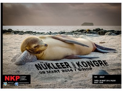 NÜKLEER KARŞITI KONGRE