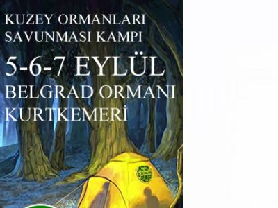 KUZEY ORMANLARI SAVUNMASI KAMPINDA NKP ATÖLYESİ YAPILIYOR