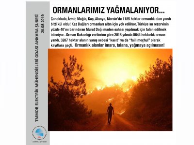 ORMANLARIMIZ YAĞMALANIYOR...