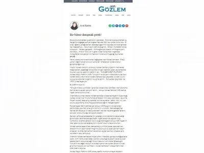 BİR BİLENE DANIŞMAK GEREK! (AYSEL KANBER/GOZLEMGAZETESİ)