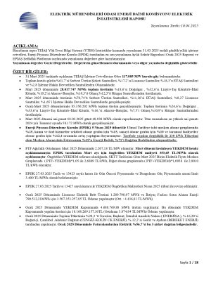 TÜRKİYE ELEKTRİK ENERJİSİ İSTATİSTİKLERİ MART 2025 YAYIMLANDI